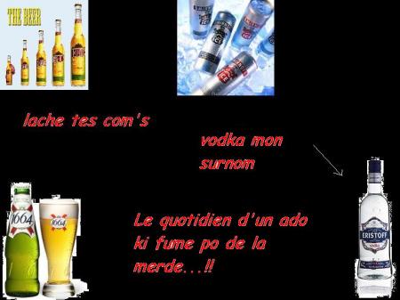 Article fais par Andy alias VODKA